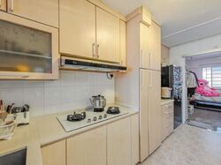 Blk 254 Bangkit Road (Bukit Panjang), HDB Executive #595059241